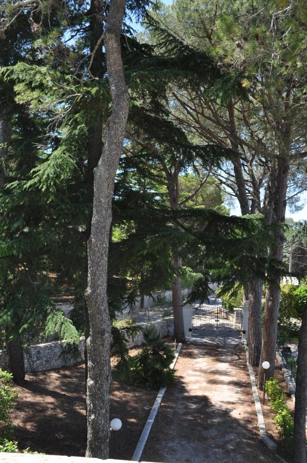 פאסאנו B&B Villa Rosanna מראה חיצוני תמונה